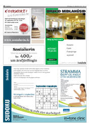 Síða 28