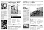Síða 4
