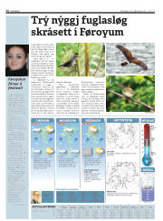 Síða 32