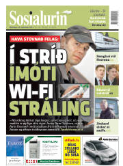 Síða 1