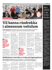 Síða 5