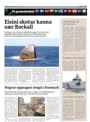 Síða 15