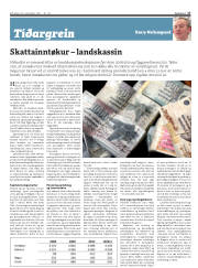 Síða 17