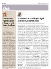 Síða 20