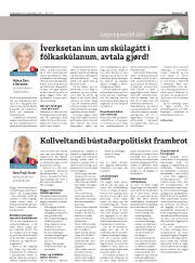 Síða 15