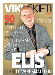 Síða 33
