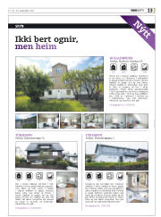 Síða 45