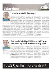 Síða 21