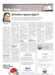 Síða 15