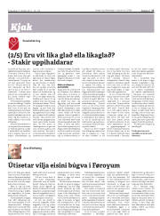 Síða 17