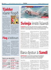 Síða 20