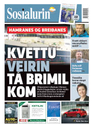 Síða 1