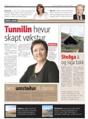 Síða 13