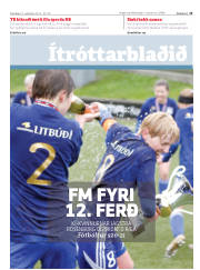 Síða 15