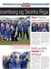 Síða 21