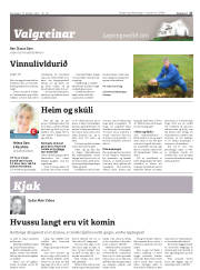 Síða 27