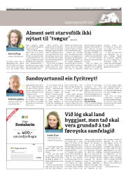 Síða 29