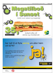 Síða 35