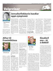 Síða 17