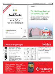 Síða 29