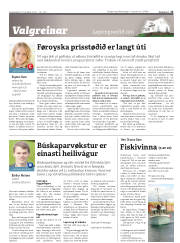 Síða 13