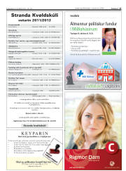 Síða 17