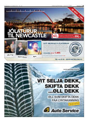 Síða 29