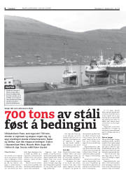 Síða 8