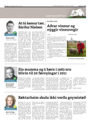 Síða 13
