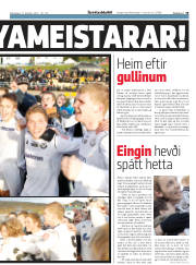 Síða 19