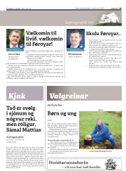Síða 29