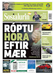 Síða 1