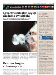 Síða 11
