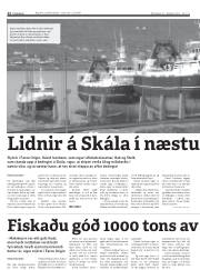 Síða 12