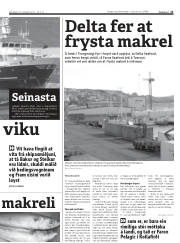 Síða 13