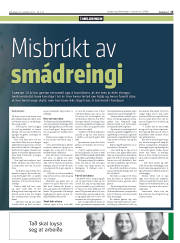 Síða 15