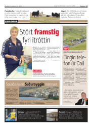 Síða 17
