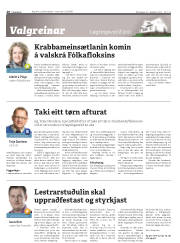 Síða 20