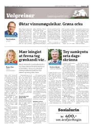 Síða 21
