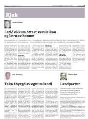 Síða 29