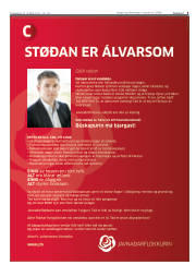 Síða 3