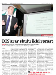 Síða 6