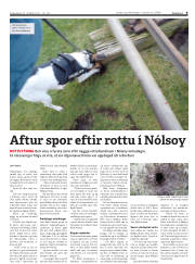 Síða 9