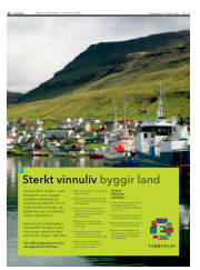 Síða 12