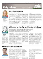 Síða 17