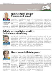 Síða 19