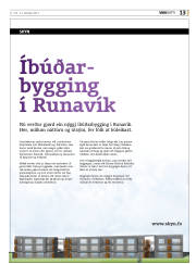 Síða 61