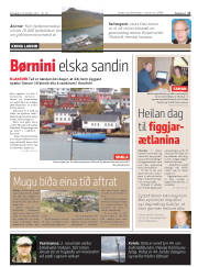Síða 17
