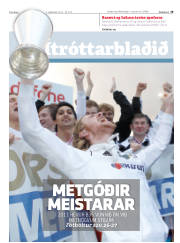 Síða 19