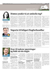 Síða 33